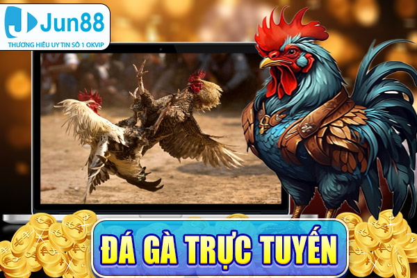 Sảnh đá gà trực tuyến Jun88