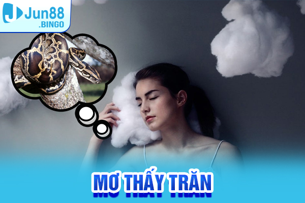 mơ thấy trăn